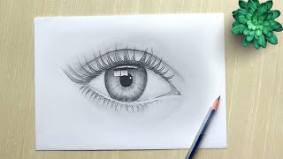 Eye How to Draw Eyes  Realistic Eye Drawing Easy [upl. by Fini]