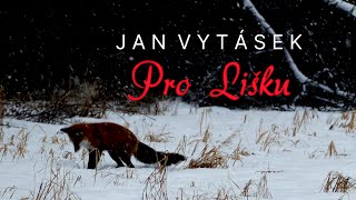 Pro Lišku  Jan Vytásek [upl. by Abbotsun109]