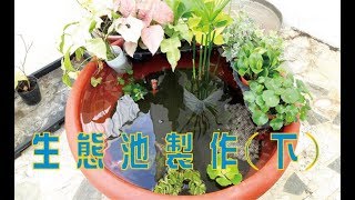 生態缸製作下 How to make an ecological tank2 [upl. by Nerhe689]