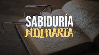 Sabiduría Milenaria  7 Consejos de Grandes Sabios [upl. by Ferdinanda]