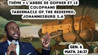 THÈME  LARBRE DE GOPHER ET LE COLOPHANE 1èPARTIE à Johannesburg SA [upl. by Carlie]