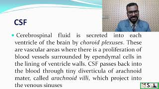 Ventricles of Brain  cerebrospinal fluid and functions of CSF [upl. by Ahseket]