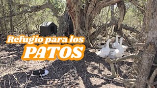 Un refugio para los patos [upl. by Ohploda20]