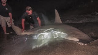 Field amp Streams Hook Shots Season 5 Ep 3 Adventures In Florida Land Sharking [upl. by Silma]