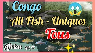 ALL 17 FISH  CONGO RIVER AFRICA  LVL 75 [upl. by Einahpts]