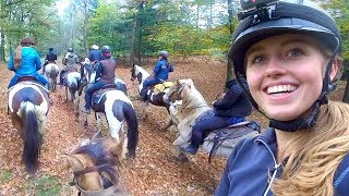 In westernstijl galopperen over de Veluwe met Paarden YouTubers  Vlog 71 [upl. by Baptlsta]