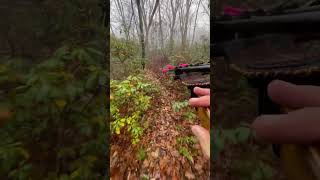 Cruising Laurel Thickets hunting mountainstate archery bowhunting outdoors nature [upl. by Collin]