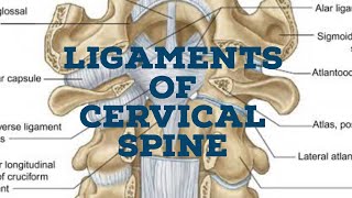 Ligaments of cervical spine [upl. by Anialed]