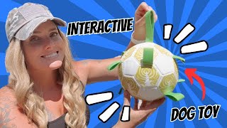 Fun and Interactive Dog Toys Soccer Ball with Straps [upl. by Ahsinac]