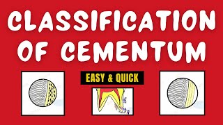 Types of Cementum  Classification of Cementum [upl. by Adnamal427]