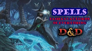 Spell Ranking from Tashas Cauldron of Everything [upl. by Oiramat]