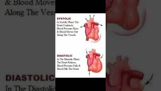 Health  Systolic and Diastolic Blood Pressure [upl. by Naujahs]