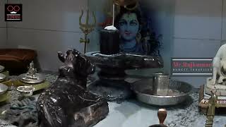 shiva abhishekam [upl. by Tybi]