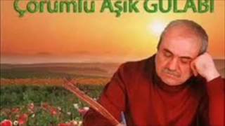 Çorum ellerinin tatlı bülbül AŞIK GÜLABİ [upl. by Cleary]