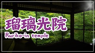 【3min Kyoto】3分で巡る「瑠璃光院」Rurikoin temple Kyoto Japan [upl. by Nnairb]