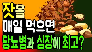 건강에 좋은 잣을 매일 먹으면 당뇨병과 심장에 영향을 줍니다 심장에 좋은 견과류 당뇨에 좋은 견과류 [upl. by Maeve]