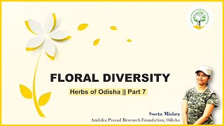 Floral diversity  Part 7  asteraceae  Ambika Prasad Research Foundation [upl. by Shalna162]