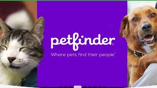 Petfinder is the largest online pet adoption site This time Petfinder launched the pet [upl. by Nad]