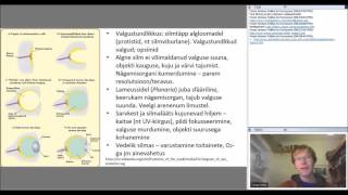 Silma ja nägemise bioloogia ja füüsika 04022016 [upl. by Anerda]