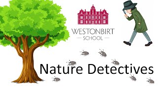 Woodlice Classification  Nature Detectives [upl. by Nylacaj398]