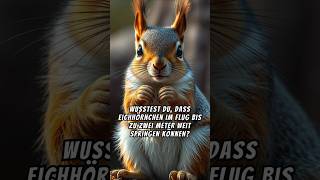 🐿🌰 Die Welt der Eichhörnchen entdecken 🧡shorts facts [upl. by Stedman]