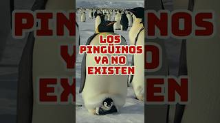 Los Pingüinos NO Existen mas shorts [upl. by Nove]