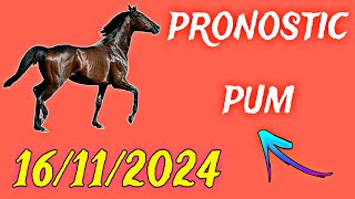 ➡️ pronostic PMU  samedi 16 novembre 2024  🔥🔥 [upl. by Patterman]