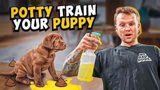 Puppy Training  How To Potty Train A PUPPY In 5 Minutes [upl. by Santini]