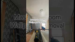 Starting wallpaper removal today fixerupperwallpaperremovaldiymasterbedroommakeoverdiyhome [upl. by Yelyk]