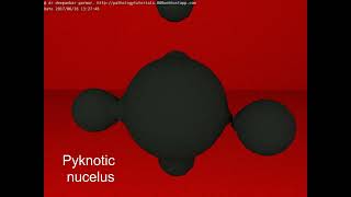 cell injury apoptosis  irreversible cell injury  morphology of programmed cell death apoptosis [upl. by Bill]