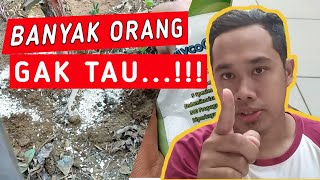 Unboxing cara kerja pupuk mikoriza [upl. by Latonia105]