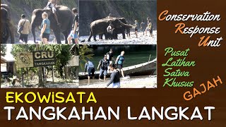 EkoWisata Pusat Pelatihan Satwa Khusus Gajah Tangkahan Langkat [upl. by Ellenor]