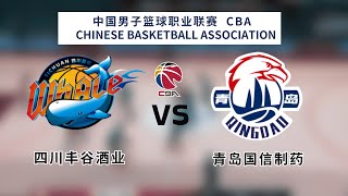 CBA 20242025｜CBA LIVE｜CBA季前赛｜四川 vs 青岛｜SICHUAN vs QINGDAO｜K体育｜篮球｜CBA直播｜四川丰谷酒业｜青岛国信制药 [upl. by Leirda]