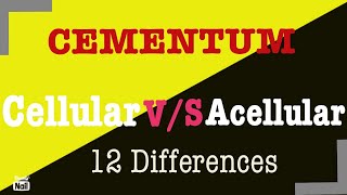 12 differences between cellular and acellular cementum  Cellular vs Acellular cementum [upl. by Limhaj]