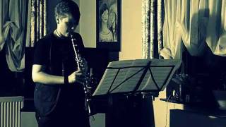 Rolling in the Deep  Adele clarinet Cover [upl. by Om365]