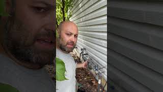 Irrigation Backflow Preventer Repair Service in Chicagoland [upl. by Maximilianus100]