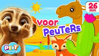 Dierengeluiden Voertuigen amp Woordjes Leren met Pretlettertjes  Voor Peuters [upl. by Gib]