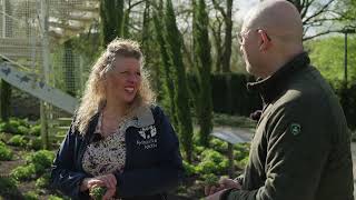 Welke tuinplanten kunnen goed tegen droogte  Tuintip vanuit Kasteeltuinen Arcen [upl. by Dinny]