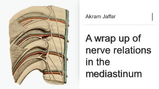 A wrap up of nerve relations in the mediastinum [upl. by Retsehc]