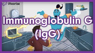 Immunoglobulin G IgG USMLE Mnemonic [upl. by Nirrej]