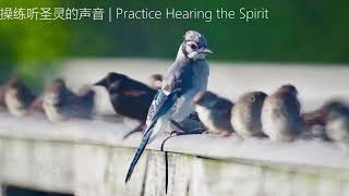 听主的声音  Hear Gods Voice  13 操练听圣灵的声音  Practice Hearing The Spirit [upl. by Kannav679]