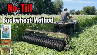 NoTill Brassica Food Plot into Buckwheat Method [upl. by Allerus207]