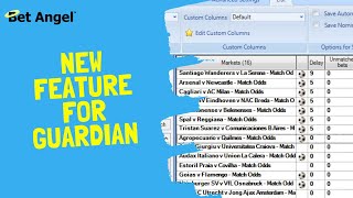 Bet Angel  Betfair trading software  Guardian lists  Custom columns [upl. by Aivatan831]