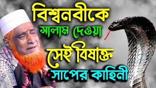 বিশ্বনবীকে সালাম দেয়া সেই সাপের কাহিনী মাওঃ বজলুর রশিদ মিঞা  Bozlur Roshid New Bangla Waz 2022 [upl. by Cotter]