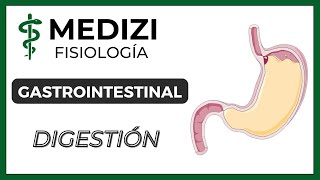 Clase 53 Fisiología Gastrointestinal  Digestión en el tubo digestivo IGdoctorpaiva [upl. by Aizirtap115]