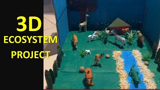 3D ECOSYSTEM PROJECT  Re uploaded [upl. by Lamson690]