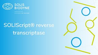 SOLIScript® reverse transcriptase [upl. by Schroeder405]