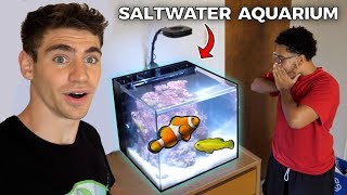 His DREAM SALTWATER AQUARIUM  College Tank [upl. by Aslam7]