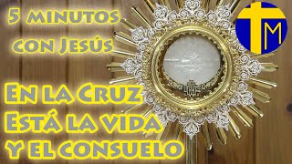 5 minutos con Jesús Sacramentado Adoración al Santísimo Sacramento del Altar [upl. by Stephanie]