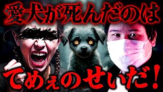 【ブチギレ】お前が全部悪い！愛犬の死を全て人のせいにしたがる粘着おばさんと大喧嘩 コレコレ切り抜き ツイキャス [upl. by Rochell]